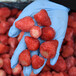 加工批发新鲜冷冻草莓果肉粒速冻水果蔬菜