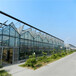 厂家直销高品质玻璃温室系列文洛式温室阳光板温室建设