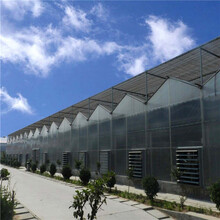 种植玻璃温室花卉大棚连栋薄膜温室大棚供应