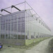玻璃温室农业温室玻璃温室大棚