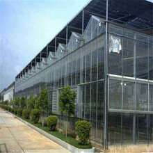 玻璃温室玻璃温室大棚