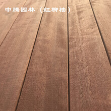 红柳桉防腐木板材批发/柳桉木优点/柳桉圆木