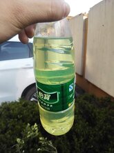 昆山0#柴油批发配送图片