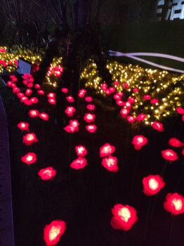 蘇州燈光展廠家供應(yīng),燈光節(jié)布展