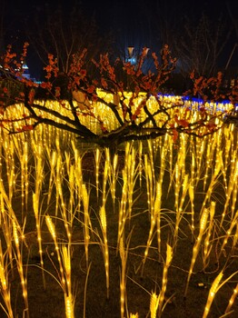 德宏燈光展出租,燈光節(jié)布展