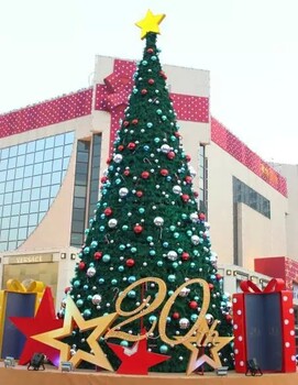 岳阳圣诞树品种繁多,圣诞节装饰