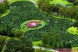 南阳绿植迷宫设计独特