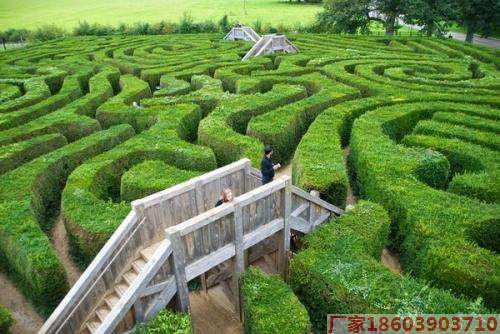 張家口大型綠植迷宮