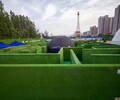 恩施綠植迷宮怎么制作