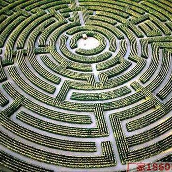 泸州绿植迷宫出售