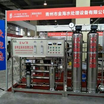 青州金海水处理设备商用大型纯水净化设备RO反渗透水处理设备