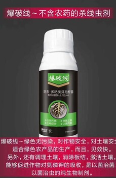 云大高科爆破線防治根結(jié)線蟲的農(nóng)藥防治線蟲的微生物農(nóng)藥