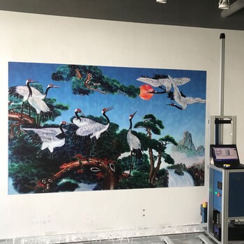 5D大型壁画广告彩绘机3D墙体彩绘3D背景墙打印机壁画打印喷绘机