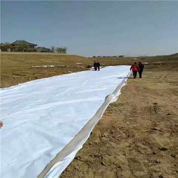 600g复合土工布防水土工布生产厂家