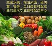 西安蔬菜、副食品配送蔬菜配送公司