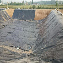 鱼塘防渗膜藕池土工膜HDPE土工膜价格图片