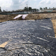 防渗土工膜蓄水池防渗膜厂家批发图片