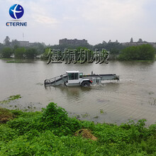 浙江湖泊水面垃圾打捞船水草收割船水花生打捞船水面清理保洁船水草收割割草船