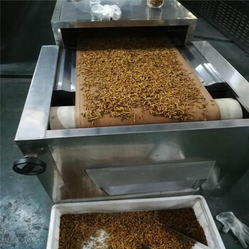 大麦虫烘干箱黄粉虫膨化机面包虫膨化干燥箱