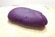 咸宁紫薯粉出厂价