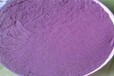 苏州紫薯粉批发厂家价格