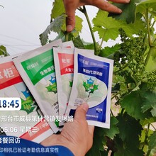 作物增产套餐水稻抗病增产园掌柜观摩会在江苏省宿迁市成功举办