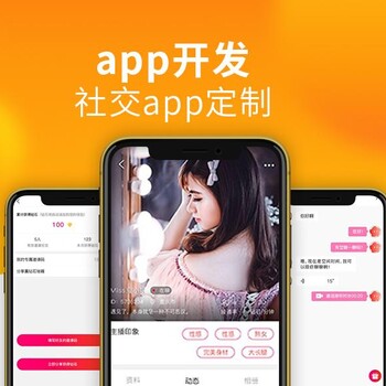 小程序，APP，系统软件定制开发