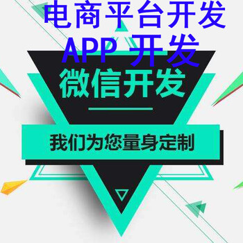 19年经验定制各购物电商互联网线上线下营销数字化管理系统开发