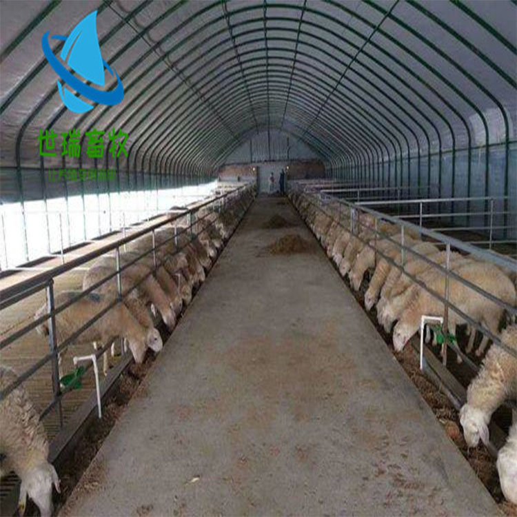 易游娱乐城- YY易游体育官方网站- 易游体育APP快看山东肉狗养殖场行情与狗舍建设