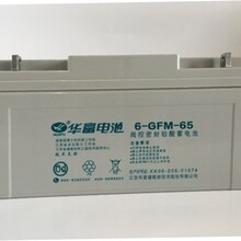 华富蓄电池6-GFM-10012V100AH