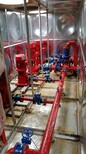 天津地埋式箱泵一体化图片4