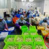 鹤壁加拿大工签出国劳务一手单