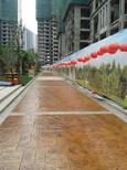 西藏广场景观生态彩色水泥压印模地面工程混凝土压花地坪厂家图片3