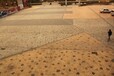 广西政府项目彩色水泥压印模路面公园艺术压花地坪梧州工程