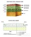 江苏广场绿化透水混凝土地坪生产及施工一体扬州彩色透水地坪项目