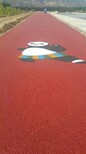四川市政道路项目承包达州公园彩色透水路面艺术地坪材料生产图片2