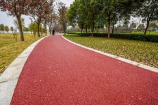 四川市政道路项目承包达州公园彩色透水路面艺术地坪材料生产图片3