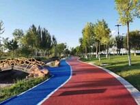 四川市政道路项目承包达州公园彩色透水路面艺术地坪材料生产图片5
