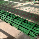 绿化网绿色钢塑格栅爬山虎植物攀爬网边坡爬藤网