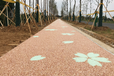 上海浦东天然胶粘石透水地坪浇筑石石子工艺标准园林景观路面
