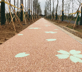 上海浦东天然胶粘石透水地坪浇筑石石子工艺标准园林景观路面