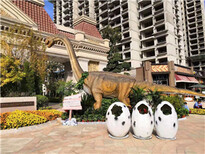 青岛大型动物模型展道具租赁销售，青岛恐龙展出租出售图片2
