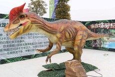 青岛大型动物模型展道具租赁销售，青岛恐龙展出租出售图片1