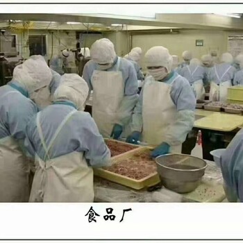 重庆正规出国劳务就业护理工-去/以/新/澳-技术成熟
