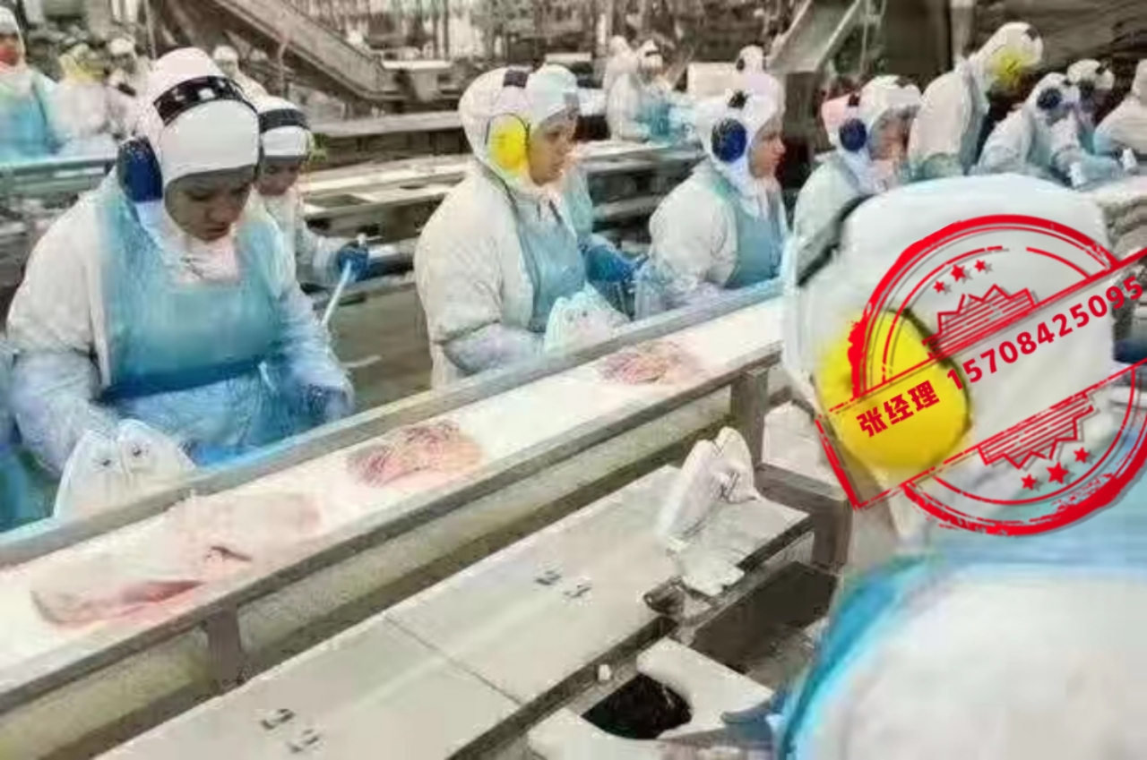 上海崇明万鼎出国劳务工厂招普工司机2年收入百万