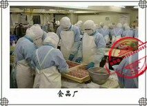 辽宁丹东出国劳务新西兰招厨师司机2年收入百万图片3