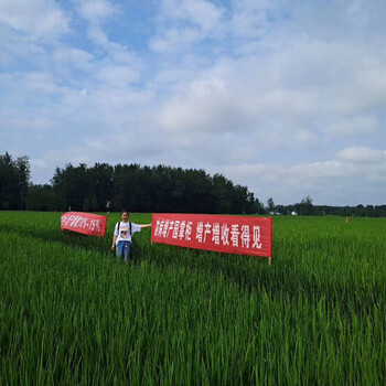 玉米果樹花生增產(chǎn)套餐園掌柜二遍頂三遍種植戶