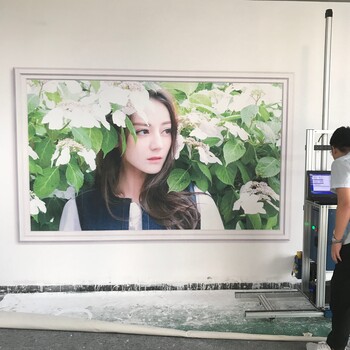 江榕3d墙体彩绘uv打印机立体大型喷绘机自动户内外背景墙设备广告