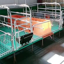 沧州华田现货母猪产床母猪限位栏产床带保温箱产床