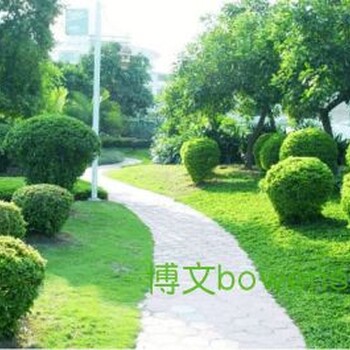 深圳市园林绿化